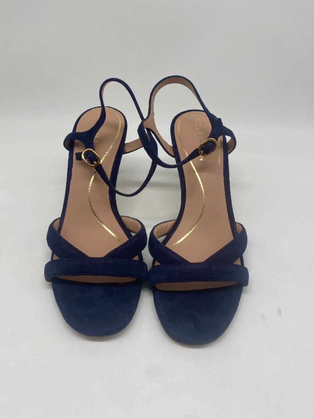 Cole Haan Women's Blue Suede Ankle Strap Block Heels Sandals
